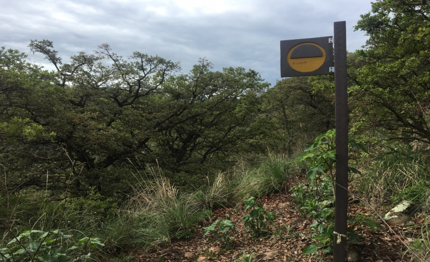 LAS TROJES VÍA LA CHUPINAYAfsendero_38_139.jpg