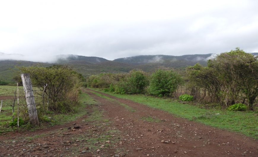 LAS TROJES VÍA LA CRISTINAfsendero_42_150.jpg